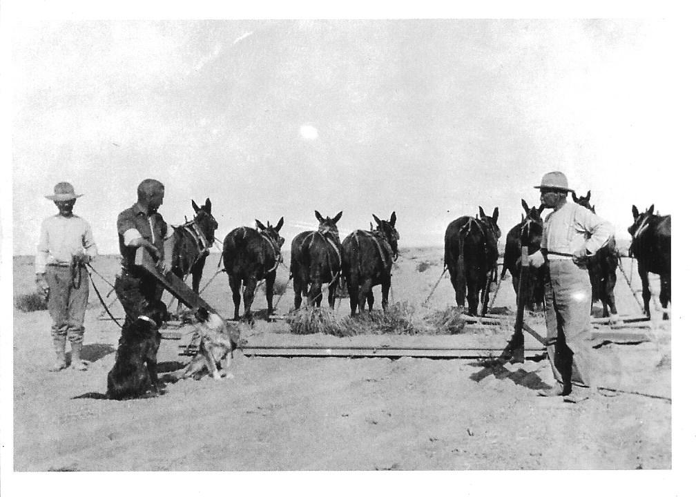 preparing the land for farming